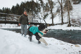Ruffwear Quinzee - weather-resistant, insulated Dog Jacket