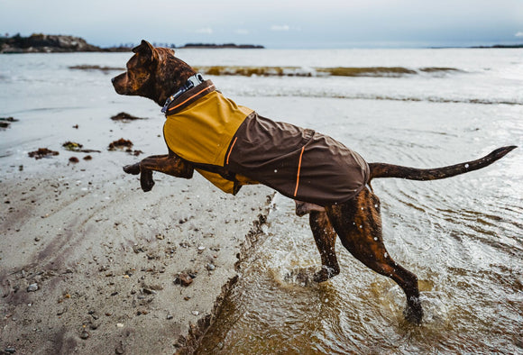 Ruffwear Sun Shower Waterproof Dog Jacket