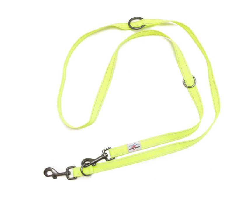 Long Paws Neon Training Lead