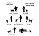 Long Paws Neon Training Lead-2