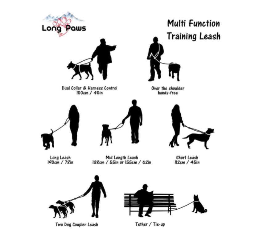 Long Paws Neon Training Lead