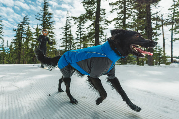 Ruffwear Vert Coverall Dog Jacket