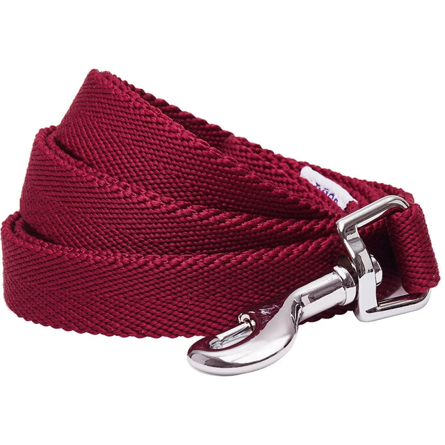 Dogs And Cats Co Classic Chic Solid Dog Leash 4 Feet by Blueberry Pet