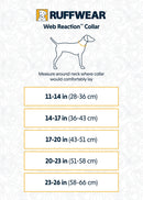 Ruffwear Web Reaction Martingale Dog Collar-5
