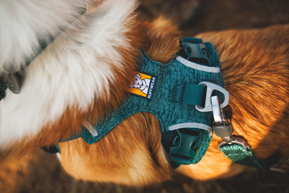 Front Range Flex Harness by Ruffwear