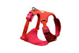 Front Range Flex Harness by Ruffwear