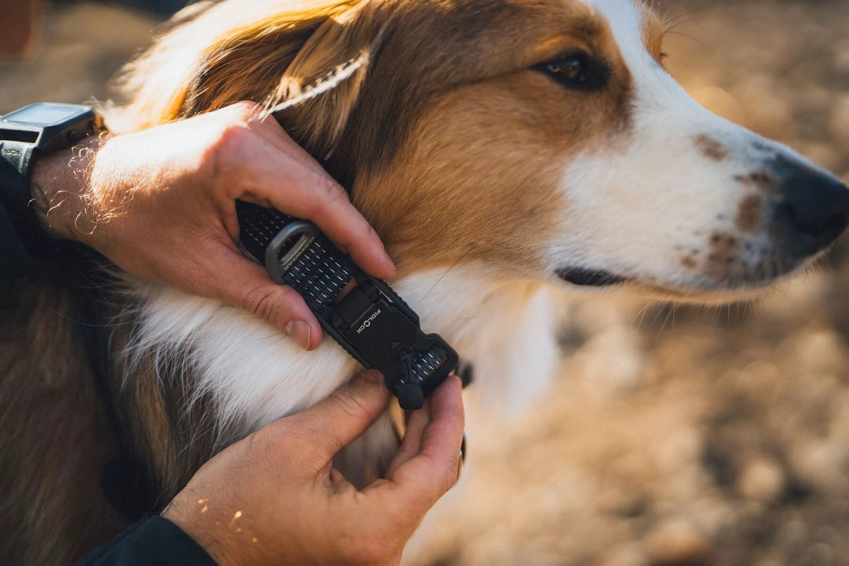 Ruffwear Ridgeline Collar by Ruffwear