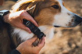 Ruffwear Ridgeline Collar by Ruffwear