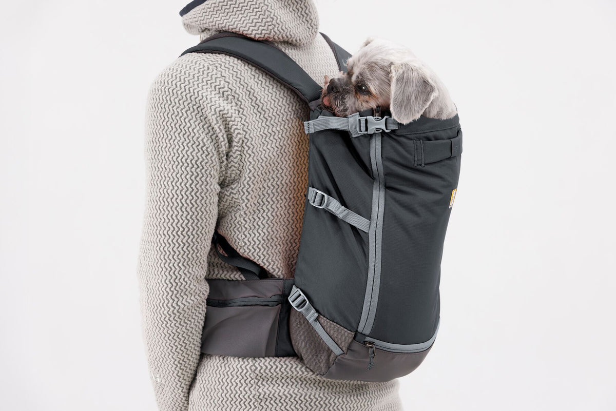 Ruffwear Hitch Hiker Dog Backpack Carrier with small dog, perfect for adventurous journeys and outdoor activities.