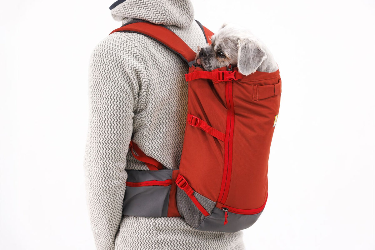 Person carrying a dog in the Ruffwear Hitch Hiker Dog Backpack Carrier designed for comfort and security.