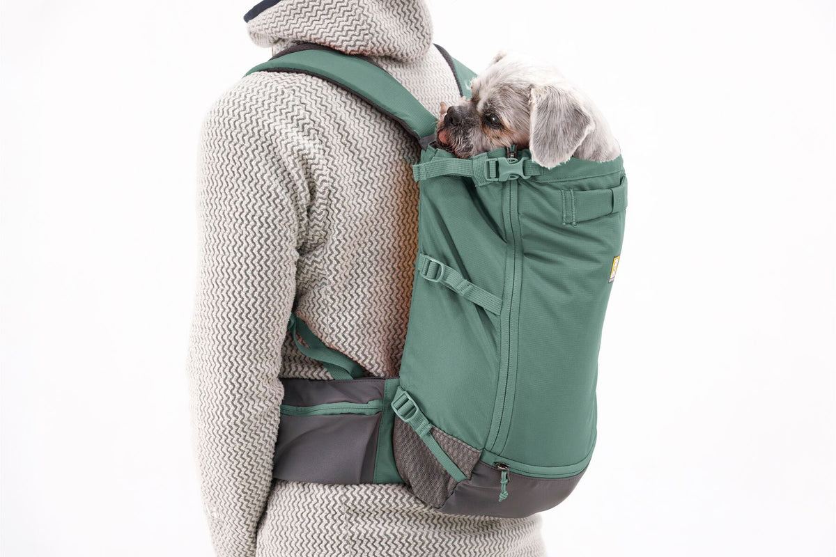 Person carrying a dog in the Ruffwear Hitch Hiker Dog Backpack Carrier for comfortable adventures.