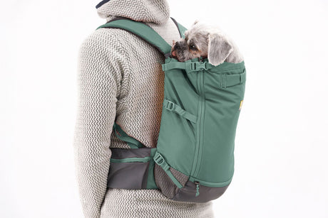 Person carrying a dog in the Ruffwear Hitch Hiker Dog Backpack Carrier for comfortable adventures.