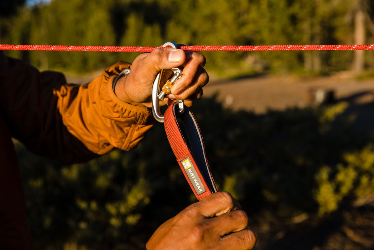 Person securing the Ruffwear Knot-a-Hitch Dog Tether with climbing hardware in a campsite setting.