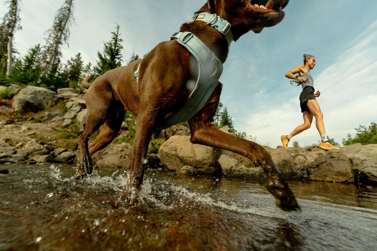 Front Range Flex Collar by Ruffwear