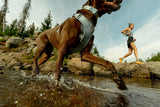 Front Range Flex Collar by Ruffwear