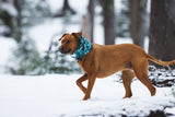 Ruffwear Mt. Hoodie Warming Neck Gaiter