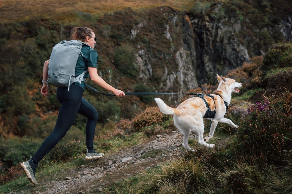 Ruffwear Ridgeline Harness by Ruffwear