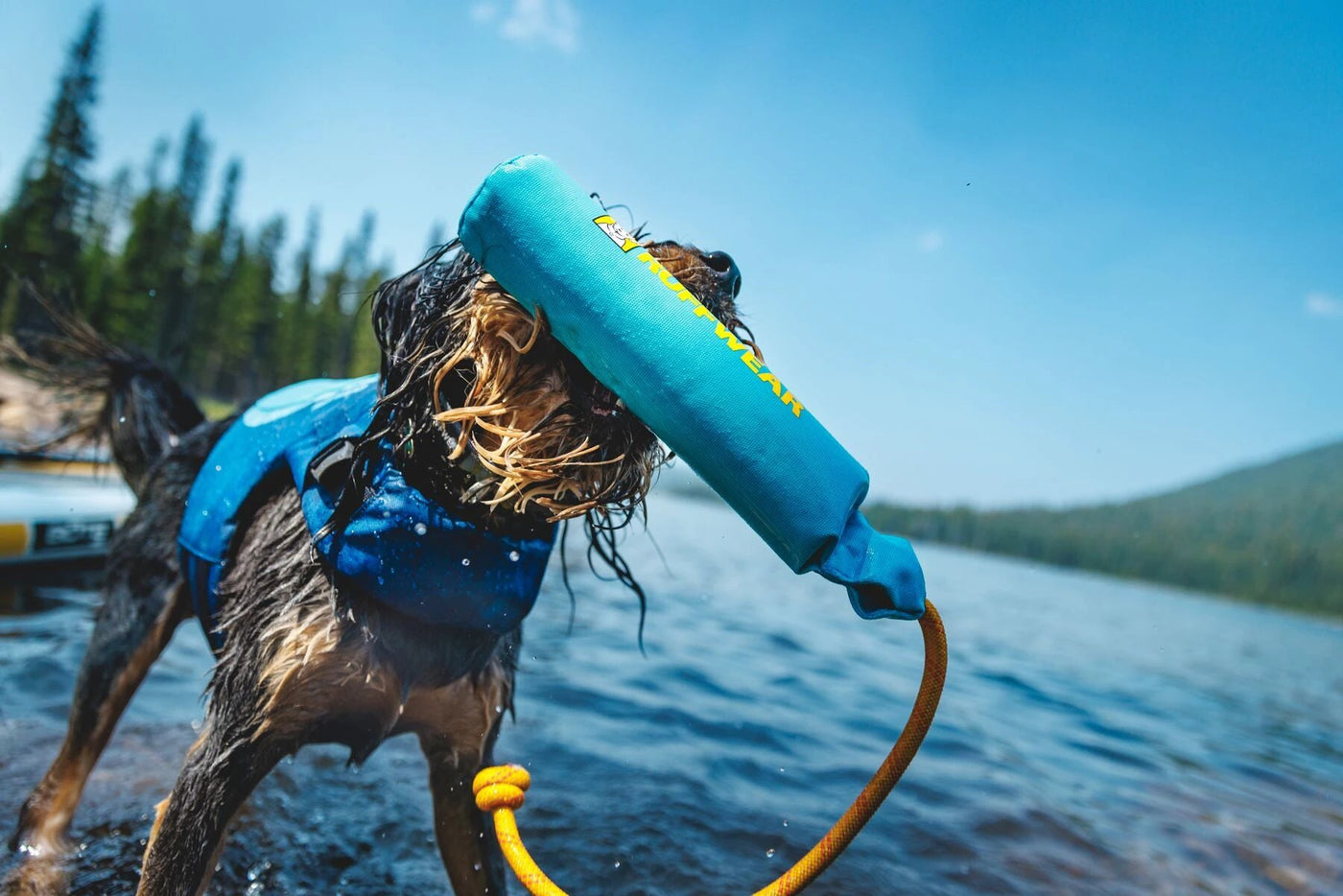 Ruffwear Lunker Interactive Floating Throw Toy by Ruffwear