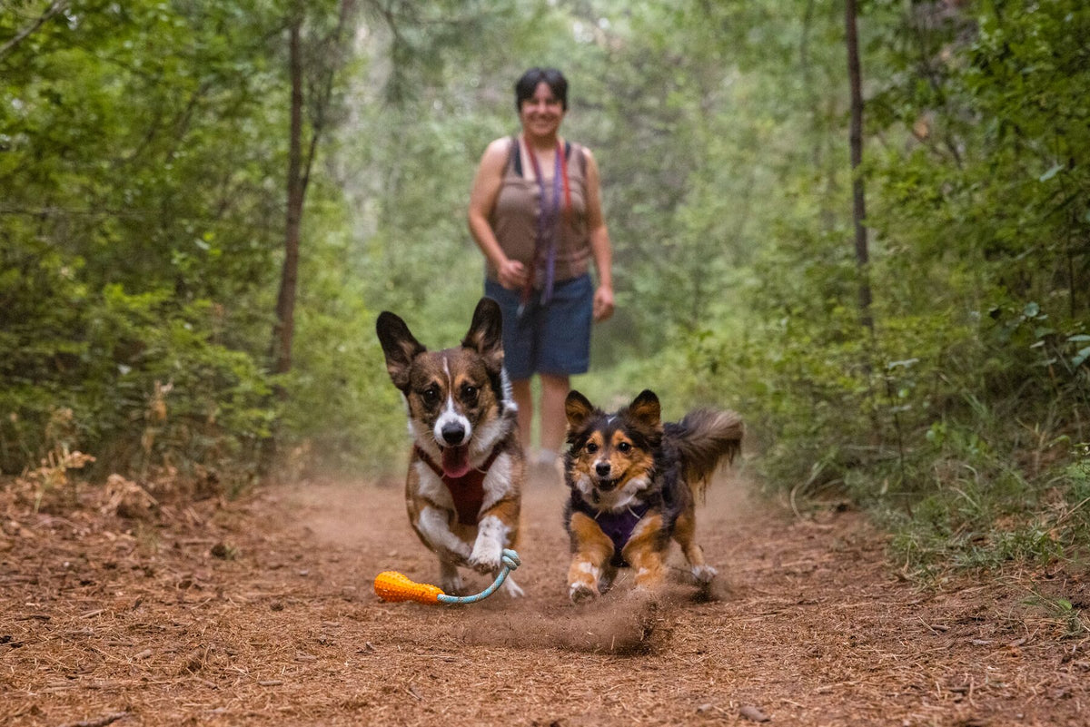 Ruffwear Gourdo Interactive Rubber throw Toy