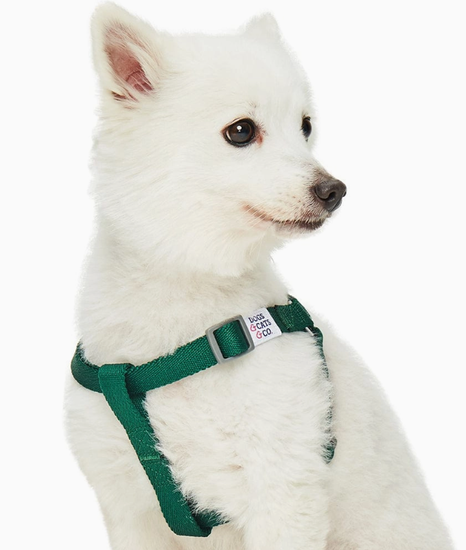 Dogs & Cats & Co. Classic Solid Color Dog Harness by Blueberry Pet
