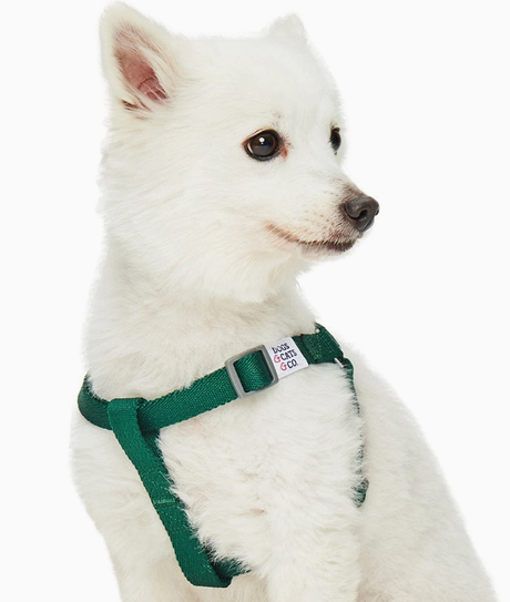 Dogs & Cats & Co. Classic Solid Color Dog Harness by Blueberry Pet