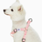 Dogs & Cats & Co. Classic Solid Color Dog Harness by Blueberry Pet