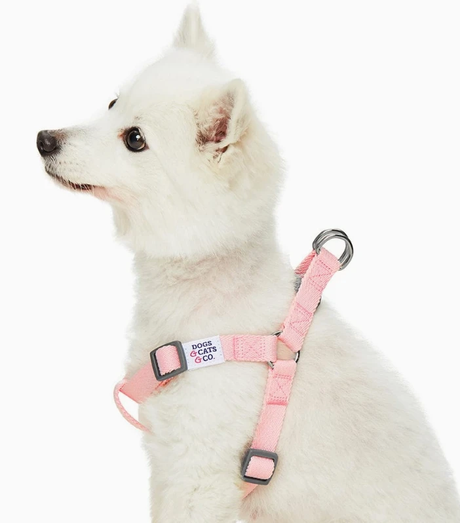 Dogs & Cats & Co. Classic Solid Color Dog Harness by Blueberry Pet