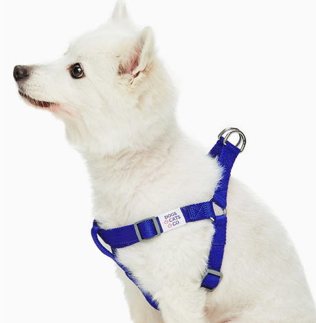 Dogs & Cats & Co. Classic Solid Color Dog Harness by Blueberry Pet