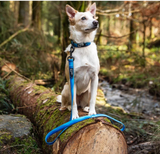 Waterproof Dog Lead
