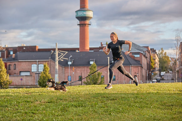 Non-Stop dogwear Touring Bungee Dog lead