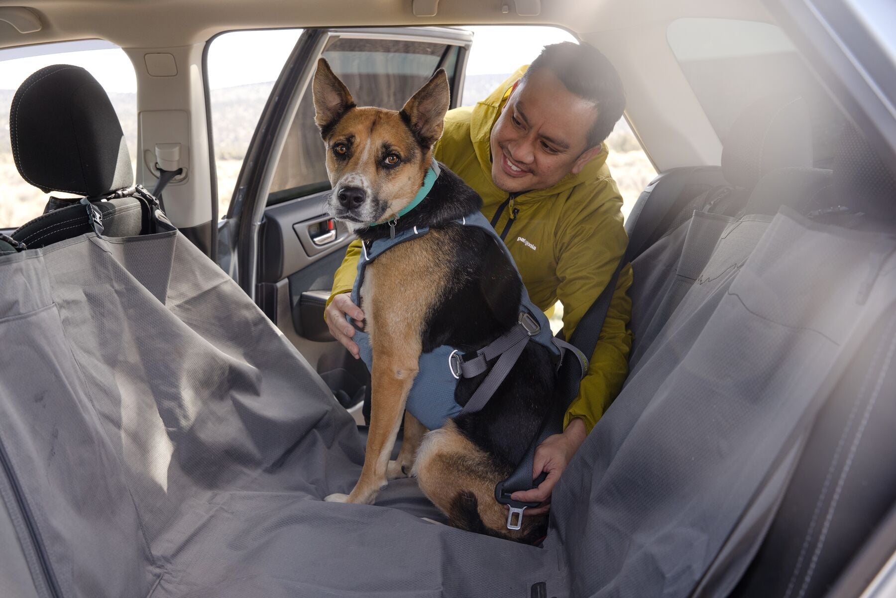 Car Harnesses - Ruffwear Load Up Harness