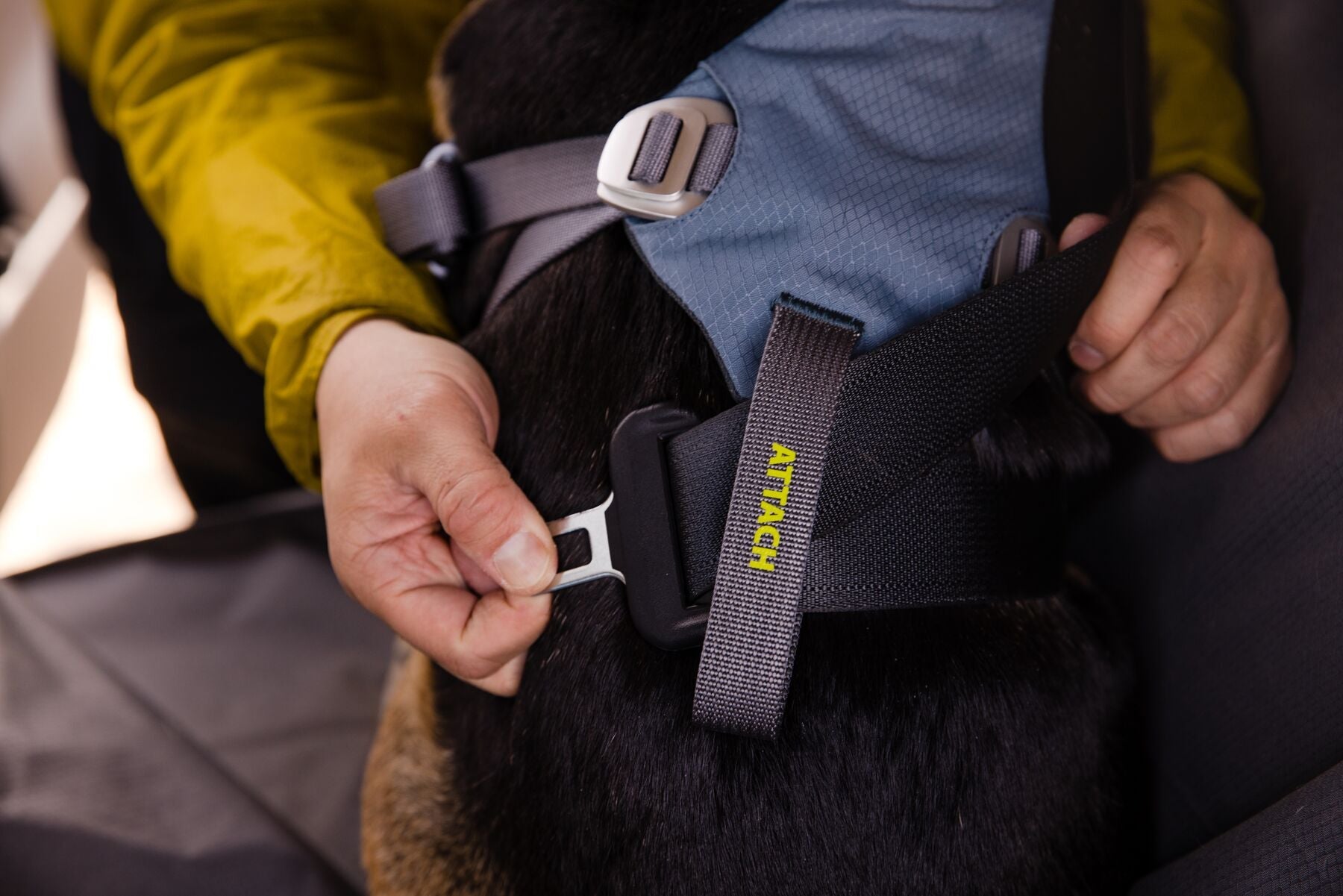 Car Harnesses - Ruffwear Load Up Harness