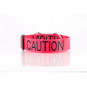 Caution Snap Collar by Dog Friendly Collars