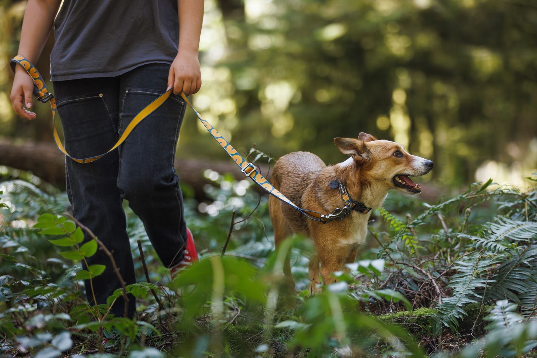 Clip Lead - Ruffwear Crag EX Leash