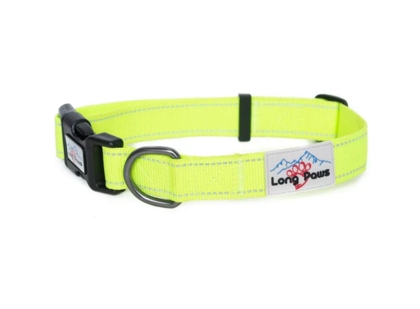 Long Paws Neon Dog Collar