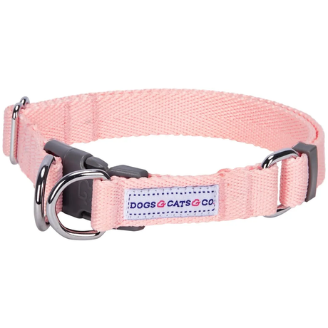 Dogs And Cats Co Double D-Ring Dog Collar -Must-Have For All Dogs by Blueberry Pet