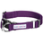 Dogs And Cats Co Double D-Ring Dog Collar -Must-Have For All Dogs by Blueberry Pet