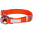 Dogs And Cats Co Double D-Ring Dog Collar -Must-Have For All Dogs by Blueberry Pet
