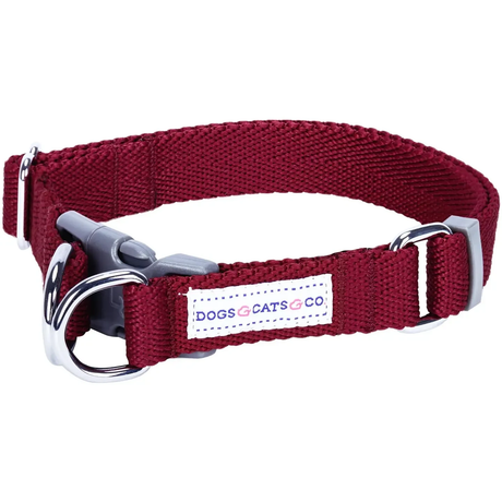 Dogs And Cats Co Double D-Ring Dog Collar -Must-Have For All Dogs by Blueberry Pet