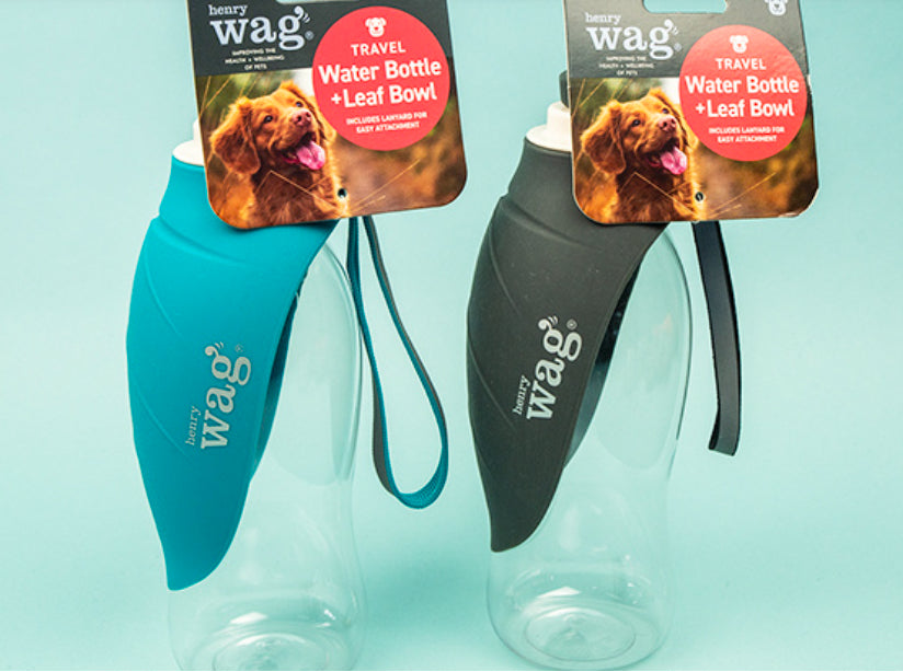 The Henry Wag Water Bottle with Leaf Bowl-Leadingdog
