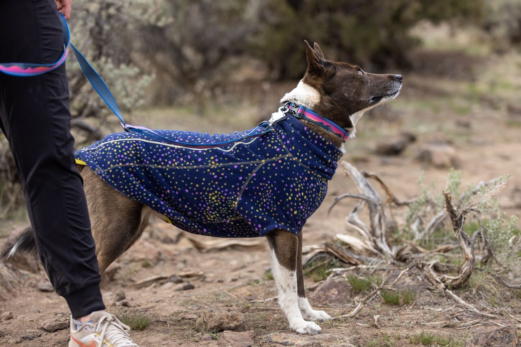 Ruffwear Climate Changer Fleece Dog Jacket-Leadingdog