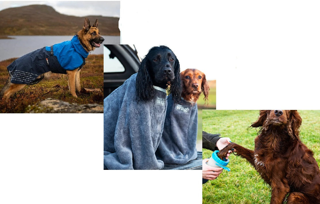 Dog Jackets - Buy And Save - Rainy Days