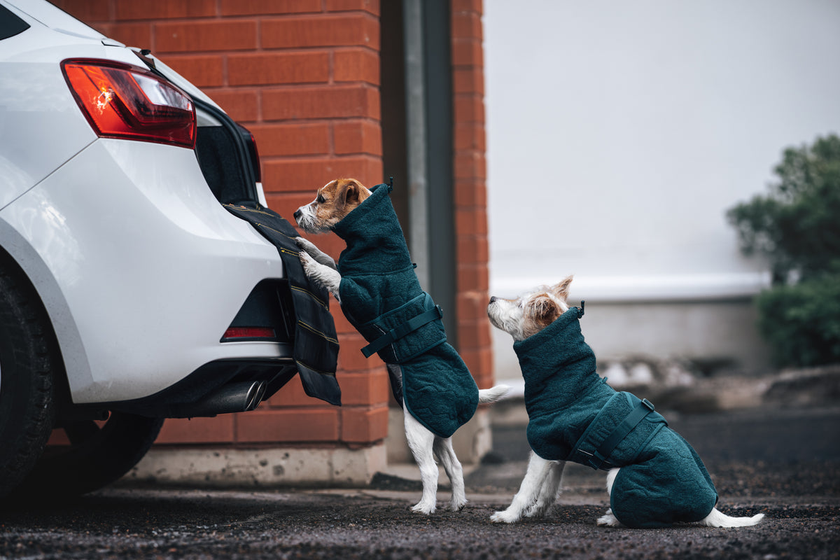 Non-stop dogwear Drying Jacket