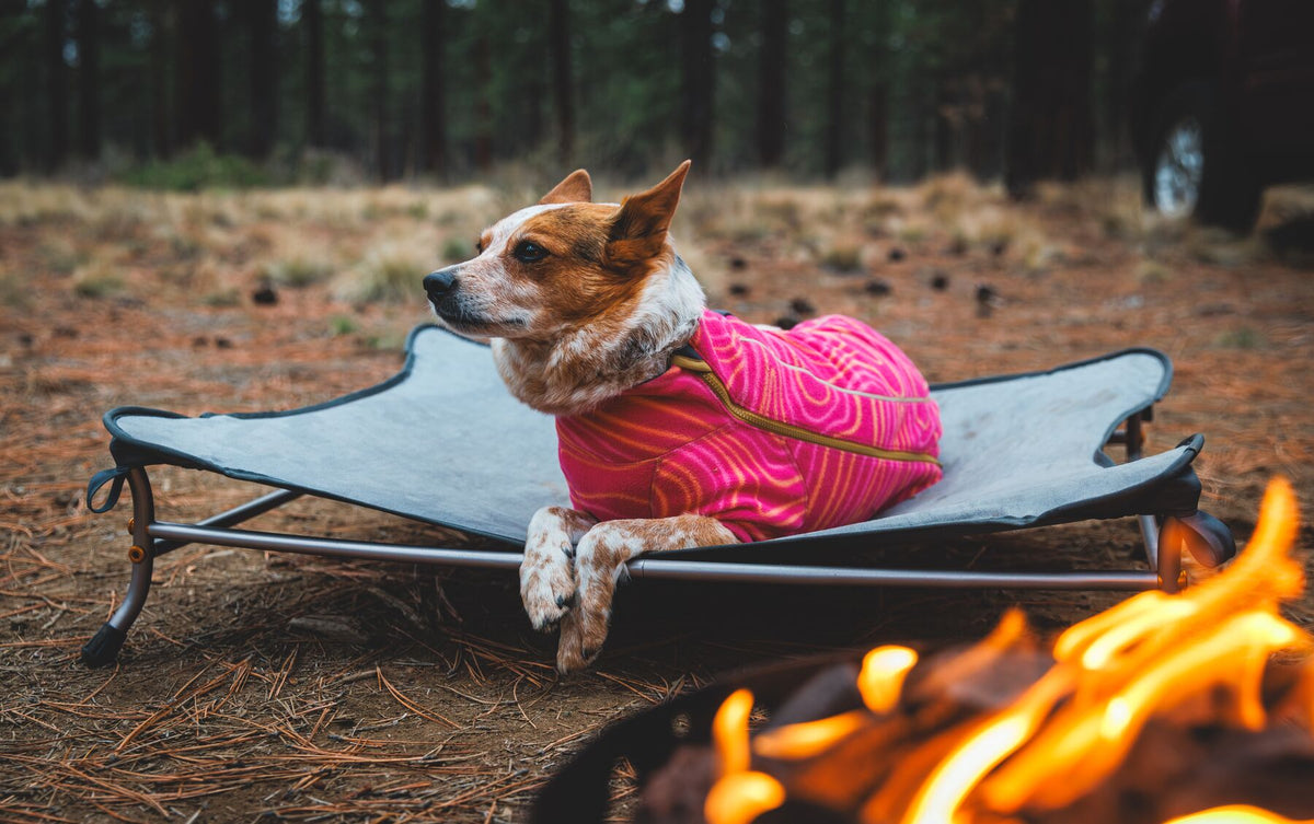 Ruffwear Mt. EverRest Dog Cot - portable elevated dog bed
