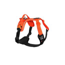 Everyday Harnesses - Non-Stop Dogwear Ramble Harness