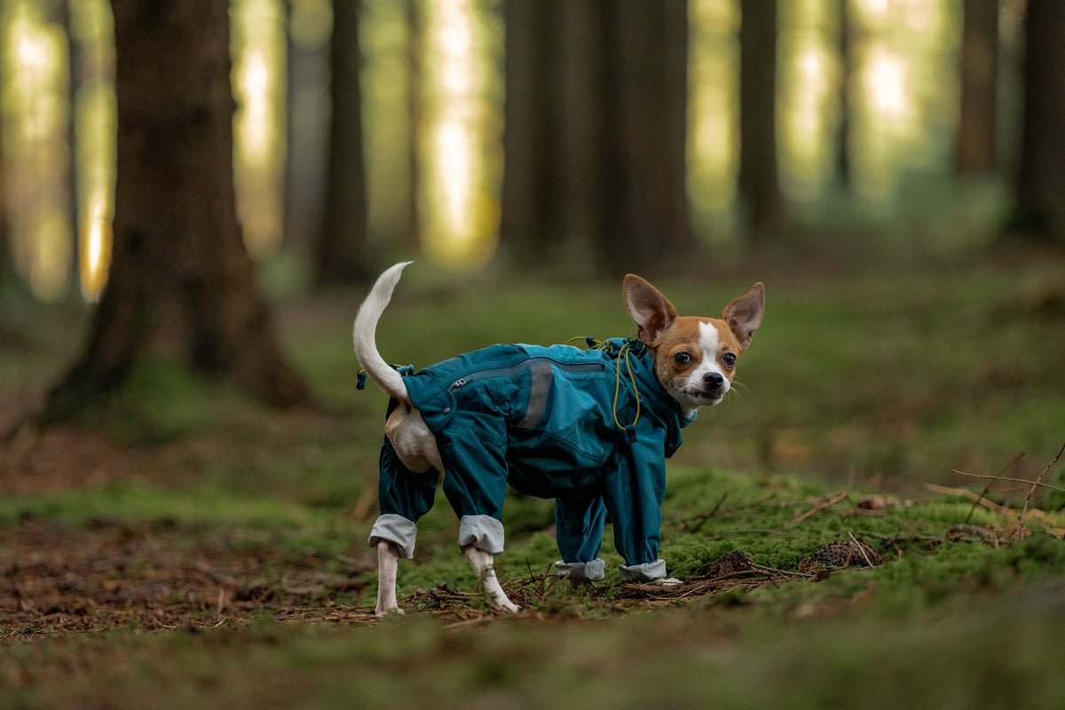 Non-stop dogwear Fjord overall raincoat
