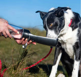Folding Dog Water Bottle