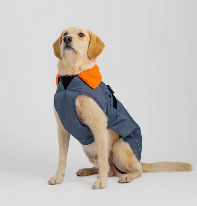 Dryrobe Dog Jacket - waterproof and wind-resistant