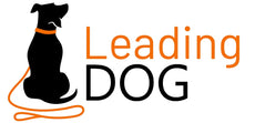dog walker-Mendota Dog Walker Martingale Style Dog leash-Leadingdog 