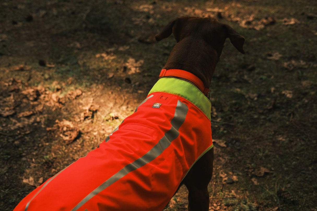 Ruffwear Lumenglow High-Vis Dog Vest Jacket